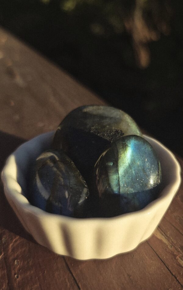Jae's Crystal Bundle 🔮🌸🐾 - Image 5